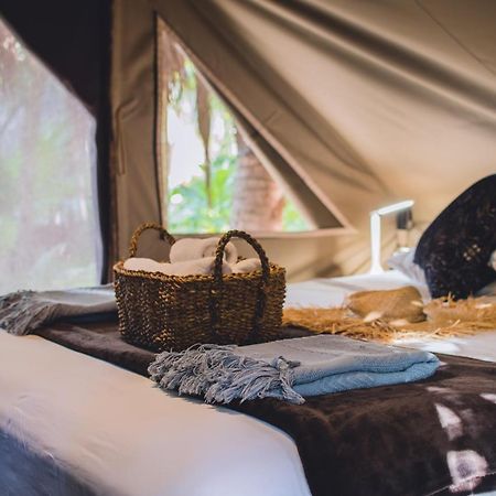 Hotel Nativus Glamping & Cenote Tulum Exteriér fotografie