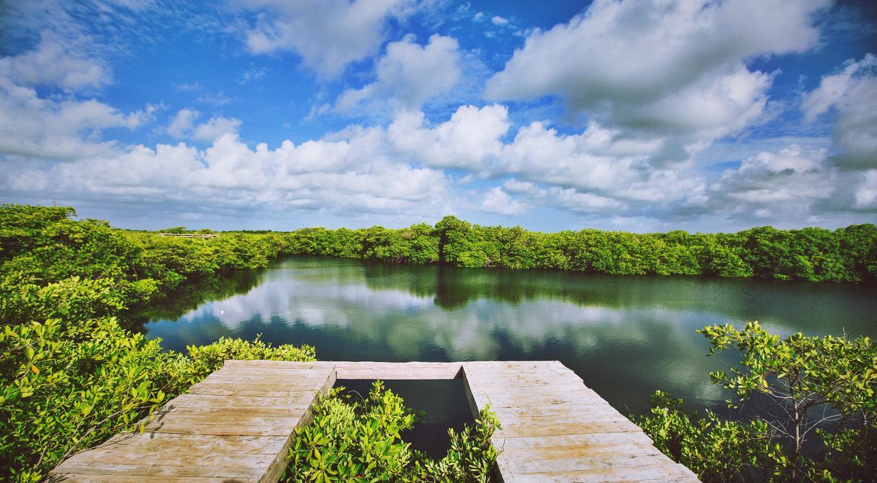 Hotel Nativus Glamping & Cenote Tulum Exteriér fotografie