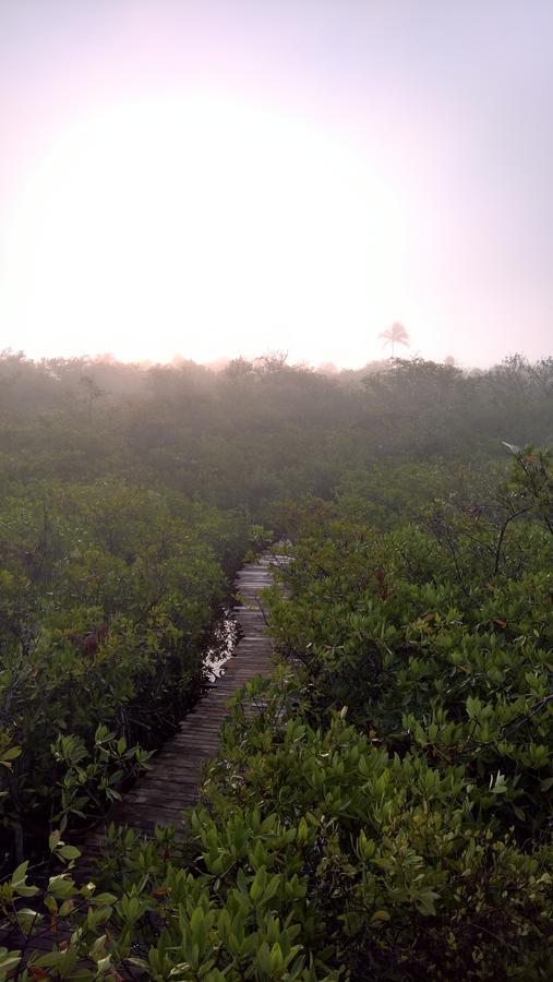 Hotel Nativus Glamping & Cenote Tulum Exteriér fotografie